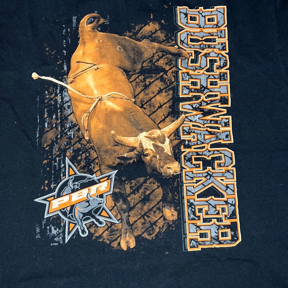 PROFESSIONAL BULL RIDER